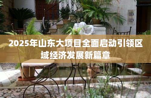 2025年山东大项目全面启动引领区域经济发展新篇章