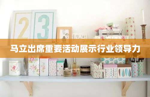 马立出席重要活动展示行业领导力