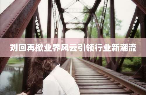刘回再掀业界风云引领行业新潮流