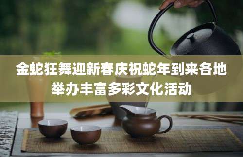 金蛇狂舞迎新春庆祝蛇年到来各地举办丰富多彩文化活动
