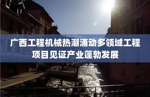 广西工程机械热潮涌动多领域工程项目见证产业蓬勃发展