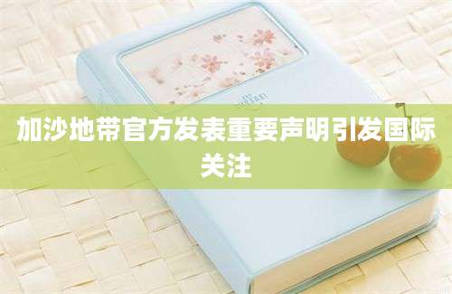 加沙地带官方发表重要声明引发国际关注