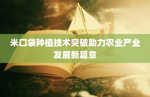 米口袋种植技术突破助力农业产业发展新篇章