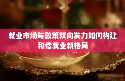 就业市场与政策双向发力如何构建和谐就业新格局