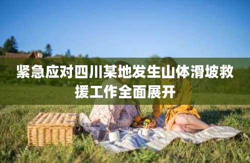 紧急应对四川某地发生山体滑坡救援工作全面展开