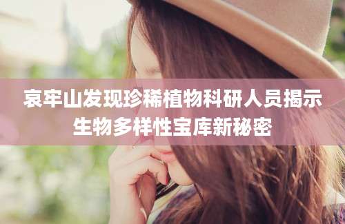 哀牢山发现珍稀植物科研人员揭示生物多样性宝库新秘密