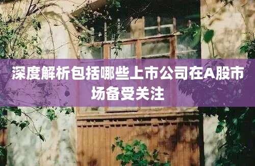 深度解析包括哪些上市公司在A股市场备受关注