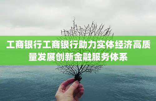 工商银行工商银行助力实体经济高质量发展创新金融服务体系