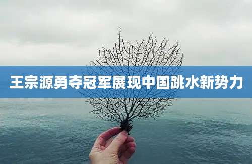 王宗源勇夺冠军展现中国跳水新势力