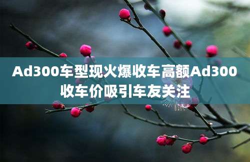 Ad300车型现火爆收车高额Ad300收车价吸引车友关注