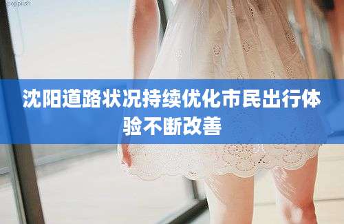 沈阳道路状况持续优化市民出行体验不断改善