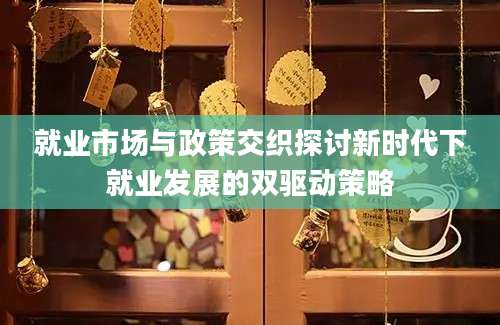 就业市场与政策交织探讨新时代下就业发展的双驱动策略