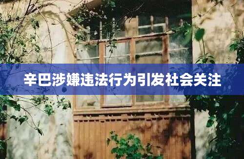 辛巴涉嫌违法行为引发社会关注