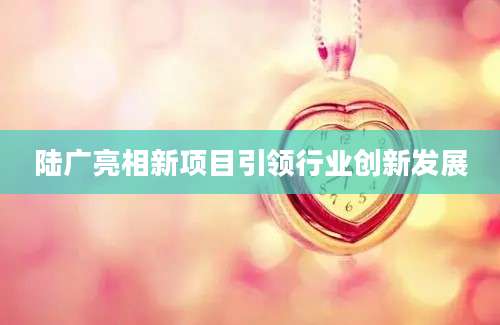 陆广亮相新项目引领行业创新发展