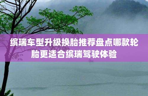 缤瑞车型升级换胎推荐盘点哪款轮胎更适合缤瑞驾驶体验