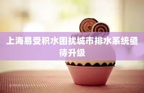 上海易受积水困扰城市排水系统亟待升级