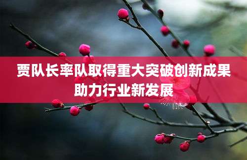 贾队长率队取得重大突破创新成果助力行业新发展