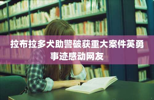 拉布拉多犬助警破获重大案件英勇事迹感动网友