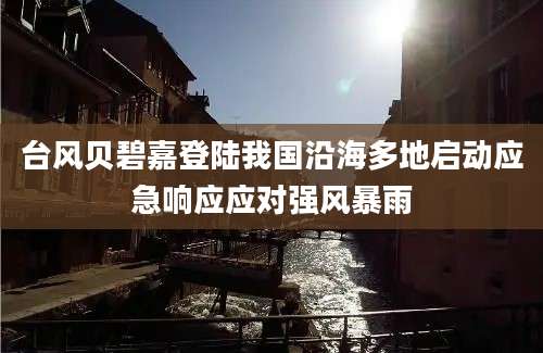 台风贝碧嘉登陆我国沿海多地启动应急响应应对强风暴雨