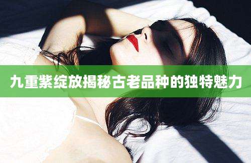 九重紫绽放揭秘古老品种的独特魅力