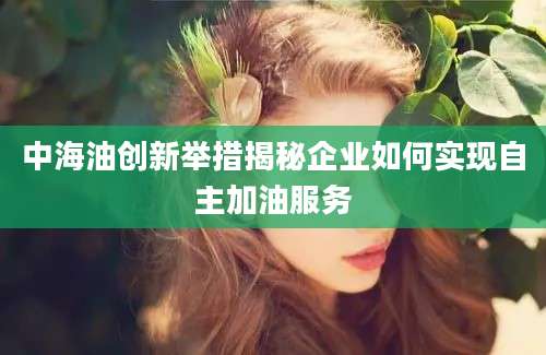 中海油创新举措揭秘企业如何实现自主加油服务