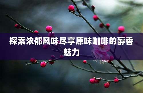 探索浓郁风味尽享原味咖啡的醇香魅力