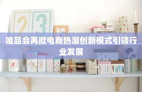 唯品会再掀电商热潮创新模式引领行业发展