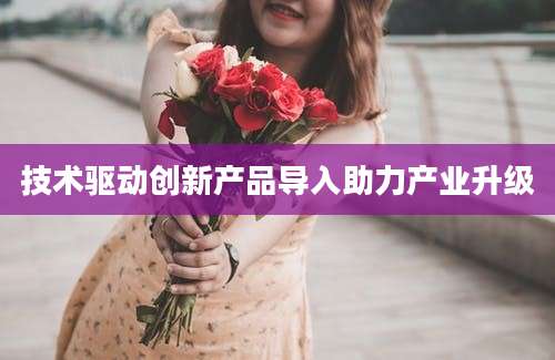 技术驱动创新产品导入助力产业升级