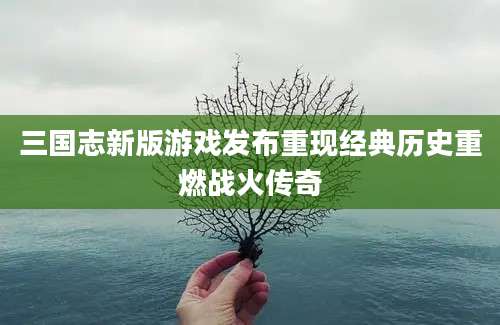 三国志新版游戏发布重现经典历史重燃战火传奇