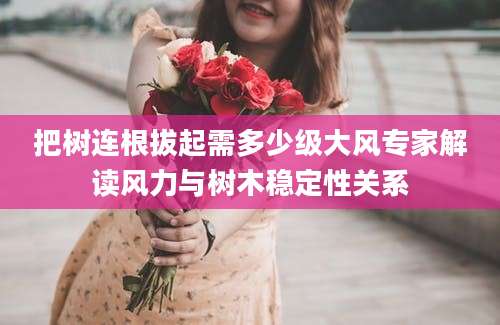 把树连根拔起需多少级大风专家解读风力与树木稳定性关系