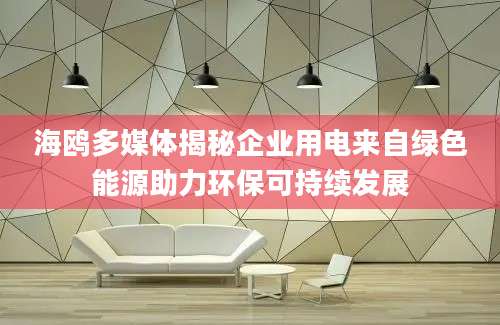海鸥多媒体揭秘企业用电来自绿色能源助力环保可持续发展