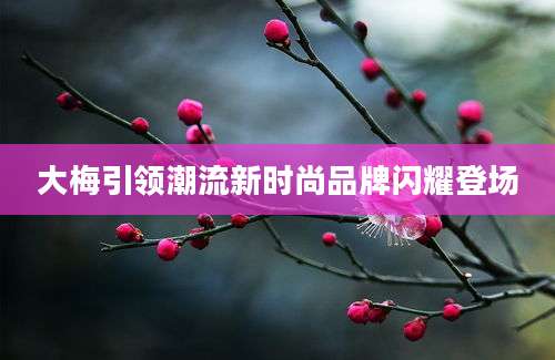 大梅引领潮流新时尚品牌闪耀登场