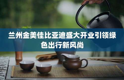 兰州金美佳比亚迪盛大开业引领绿色出行新风尚