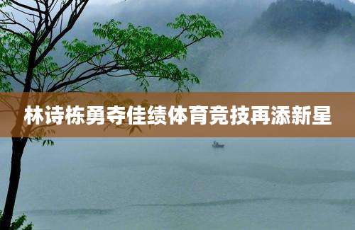 林诗栋勇夺佳绩体育竞技再添新星