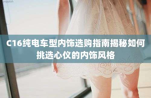 C16纯电车型内饰选购指南揭秘如何挑选心仪的内饰风格