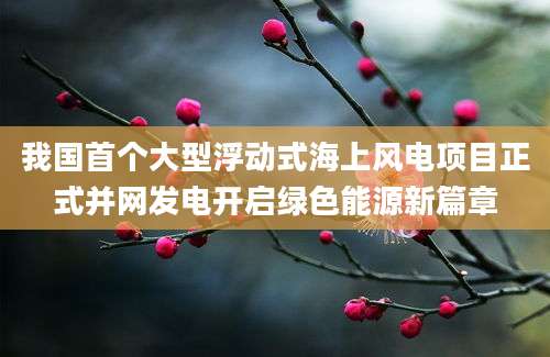 我国首个大型浮动式海上风电项目正式并网发电开启绿色能源新篇章