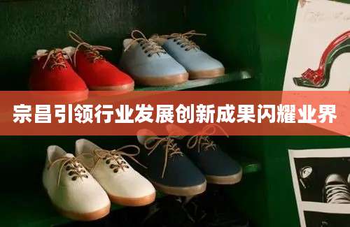 宗昌引领行业发展创新成果闪耀业界