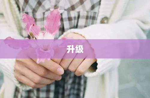 升级