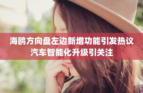 海鸥方向盘左边新增功能引发热议汽车智能化升级引关注