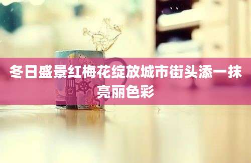 冬日盛景红梅花绽放城市街头添一抹亮丽色彩