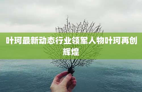 叶珂最新动态行业领军人物叶珂再创辉煌
