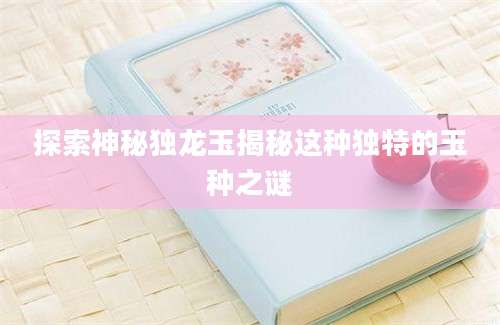 探索神秘独龙玉揭秘这种独特的玉种之谜