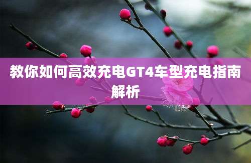 教你如何高效充电GT4车型充电指南解析
