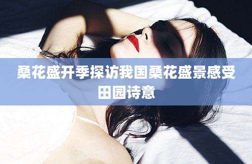 桑花盛开季探访我国桑花盛景感受田园诗意