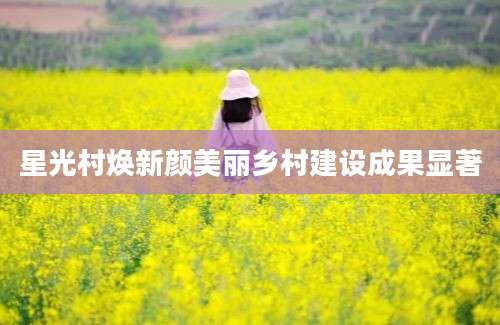 星光村焕新颜美丽乡村建设成果显著