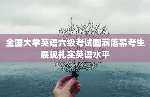 全国大学英语六级考试圆满落幕考生展现扎实英语水平