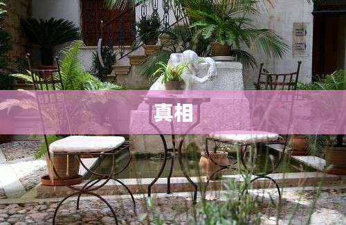 真相