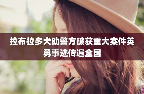 拉布拉多犬助警方破获重大案件英勇事迹传遍全国