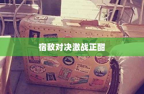 宿敌对决激战正酣
