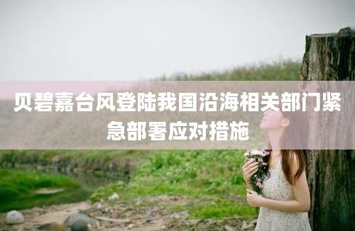 贝碧嘉台风登陆我国沿海相关部门紧急部署应对措施